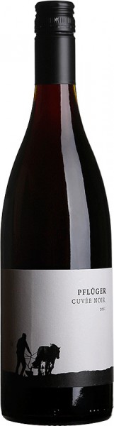 Cuvée Noir Dornfelder & Merlot - Weingut Pflüger - Rotwein