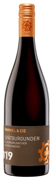 Spätburgunder Kleinkarlbacher Herrenberg Trocken Weingut Hammel & Cie 2019