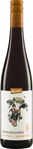 Spätburgunder Herrenhof - Stefan J. Schmitzer - Rotwein