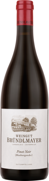 Pinot Noir - Weingut Willi Bründlmayer - Rotwein