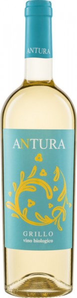 Grillo ANTURA - Maggio Vini - Weißwein