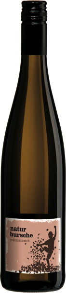 Spätburgunder Trocken Naturbursche - Landgraf - Rotwein
