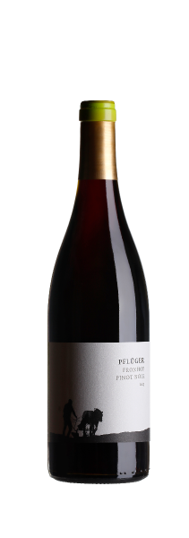Fronhof Pinot Noir - Weingut Pflüger - Rotwein