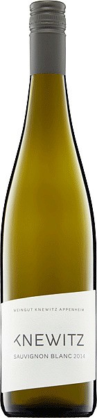 Sauvignon Blanc trocken | Weingut Knewitz Weißwein