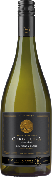 Cordillera Sauvignon Blanc Elqui Valley Miguel Torres Weisswein