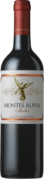 Montes Alpha Merlot - Montes / Discover Wines - Rotwein
