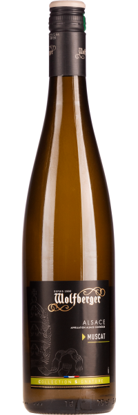 Muscat Signature - Wolfberger - Weißwein