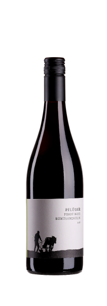 Pinot Noir vom Buntsandstein - Weingut Pflüger - Rotwein