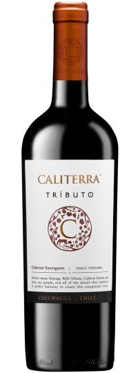 Cabernet Sauvignon Tributo Caliterra 2017