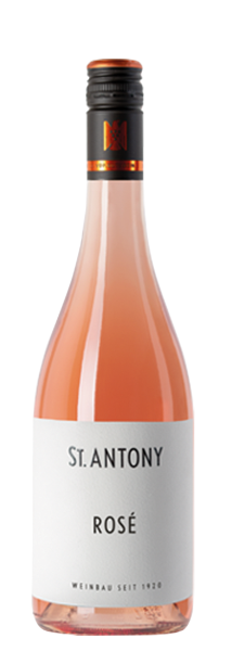 Pinot Noir Rosé Trocken - Weingut St. Antony - Roséwein