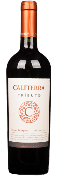 Cabernet Sauvignon Tributo - Viña Caliterra - Rotwein
