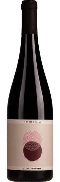 Pinot Noir - Sophie Schaal - Rotwein