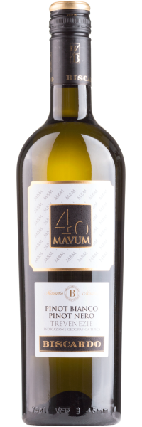40 Mavum Pinot Bianco / Pinot Nero - Biscardo Vini - Weißwein