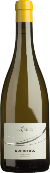 Somereto Chardonnay Cantina Andrian - Cantina Andrian - Weißwein