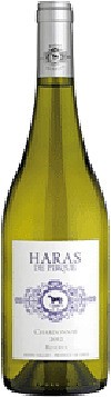 Chardonnay | Haras de Pirque Weißwein