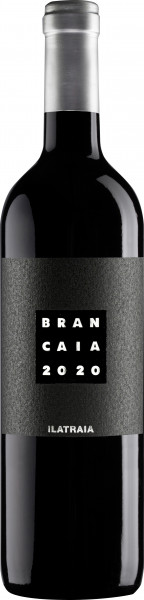 Ilatraia - Podere La Brancaia - Rotwein