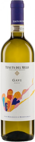 Gavi Tenuta del Melo 2022 | 6Fl.