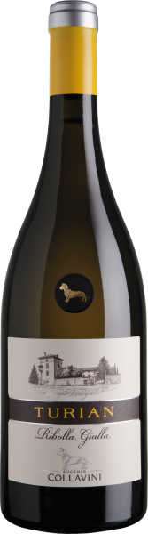 Turian Ribolla Gialla Friuli Colli Orientali - Eugenio Collavini - Weißwein