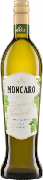 Verdicchio ANFORA Castelli di Jesi - Cantina Moncaro - Weißwein