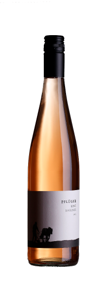 Rosé Saignée Weingut Pflüger 2022