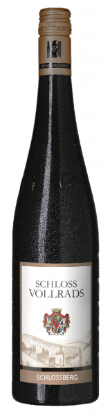 Riesling Schlossberg GG - Schloss Vollrads - Weißwein