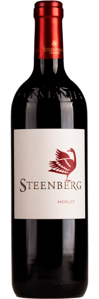 Merlot - Steenberg - Rotwein