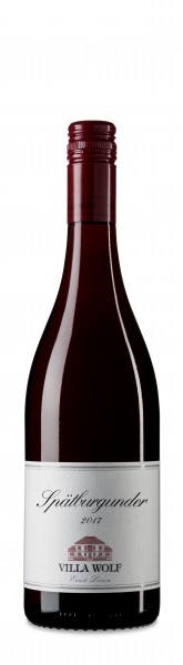 Spätburgunder - Villa Wolf / Loosen - Rotwein