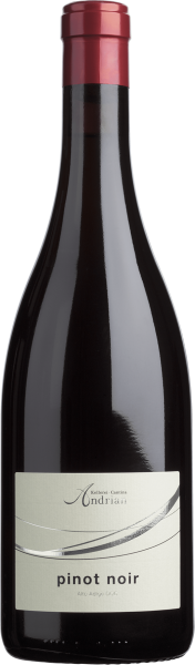 Pinot Noir Cantine Andrian - Cantina Andrian - Rotwein