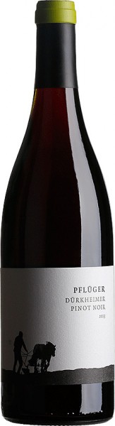 Dürkheimer Pinot Noir | Weingut Pflüger Rotwein