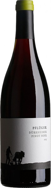 Pinot Noir Tradition - Weingut Pflüger - Rotwein