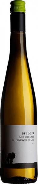Sauvignon Blanc vom Quarzit - Weingut Pflüger - Weißwein