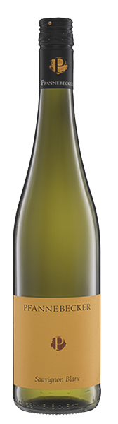 Sauvignon Blanc - Pfannebecker - Weißwein