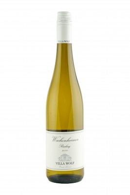 Wachenheimer Riesling Villa Wolf / Loosen 2021 | 6Fl.