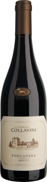 Merlot Di Casa Venezia Giulia - Eugenio Collavini - Rotwein
