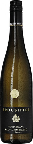 Sauvignon Blanc Terra Blanc - Weinkellerei Brogsitter - Weißwein