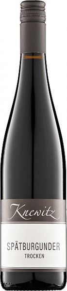 Spätburgunder trocken - Weingut Knewitz - Rotwein