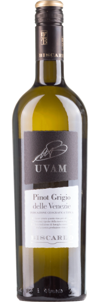UVAM Pinot Grigio delle Venezie Biscardo Vini Weisswein