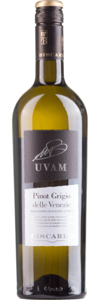 UVAM Pinot Grigio delle Venezie - Biscardo Vini - Weißwein