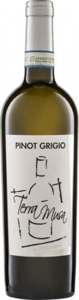 Pinot Grigio Venezia Terra Musa di Moreno Musaragno 2022 | 6Fl.