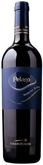 Rosso delle Marche Pelago | Umani Ronchi Rotwein